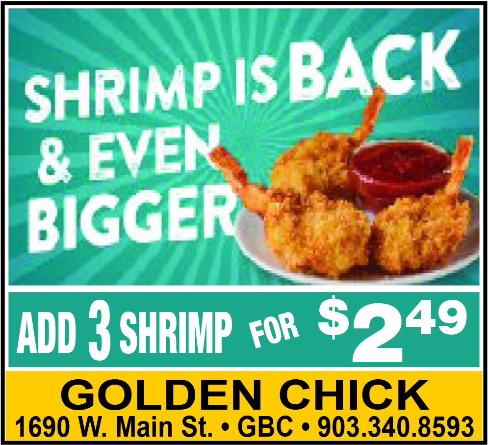 Golden Chick Shrimp